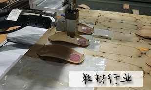 噴膠機在鞋材上應用